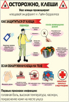 ОСТОРОЖНО- КЛЕЩИ! ОСТОРОЖНО- КЛЕЩИ!.