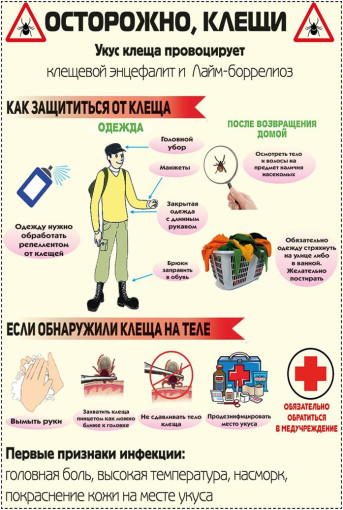 ОСТОРОЖНО- КЛЕЩИ! ОСТОРОЖНО- КЛЕЩИ!.